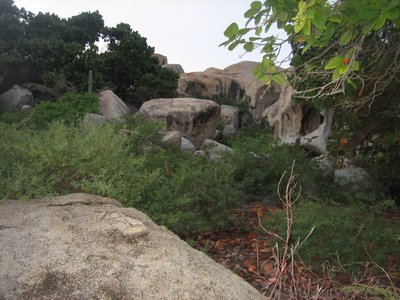 Skeletor Rock